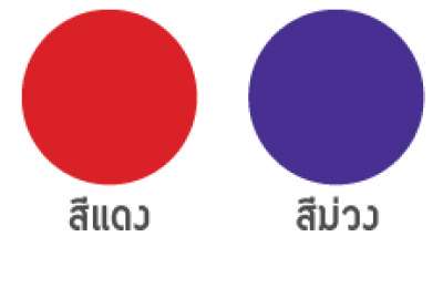 สลิคกี้ ชามอาหารทรงมาตรฐาน